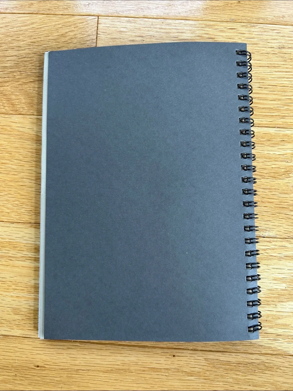 Handbook for the Recently Deceased Spiral Notebook - Beetlejuice